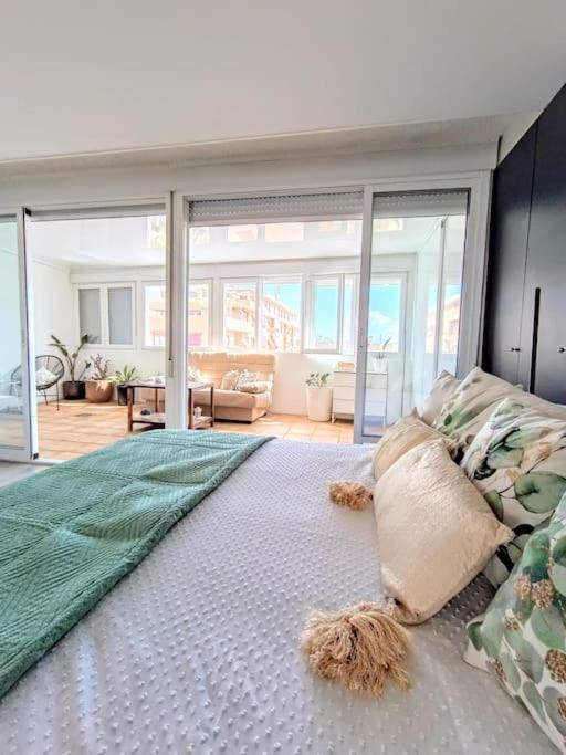 Spacious Studio By The University San Vicente Raspeig Εξωτερικό φωτογραφία