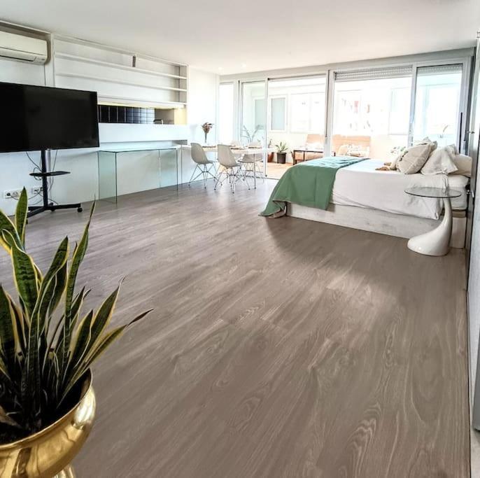 Spacious Studio By The University San Vicente Raspeig Εξωτερικό φωτογραφία