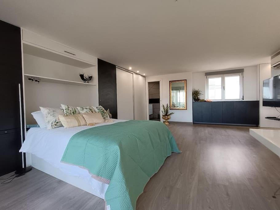 Spacious Studio By The University San Vicente Raspeig Εξωτερικό φωτογραφία
